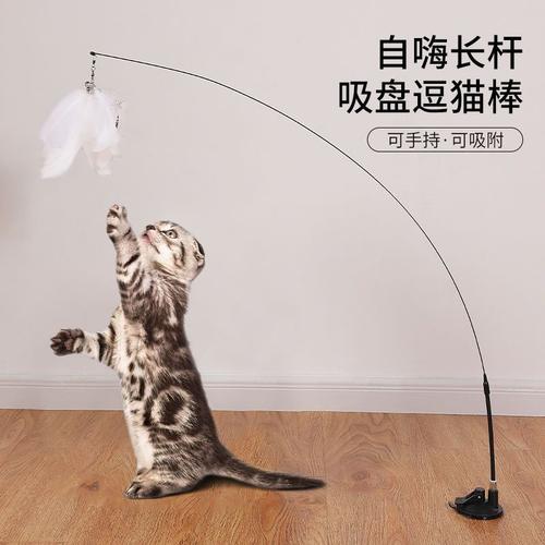 解压神器！好玩的猫咪小游戏大盘点