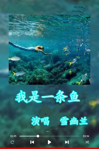 我是一条鱼：歌声里的爱情故事与小镇风情