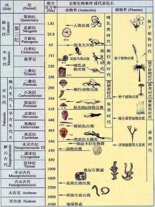 史前生物的失落的进化：揭秘亿万年前的生命演变