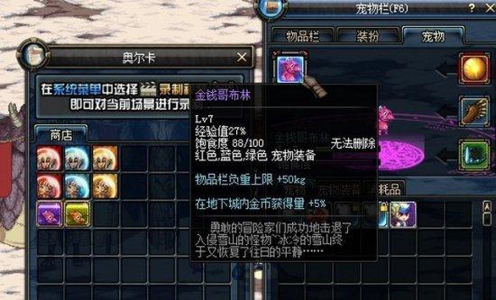 超萌DNF迷你哥布林：稀有宠物养成攻略大全
