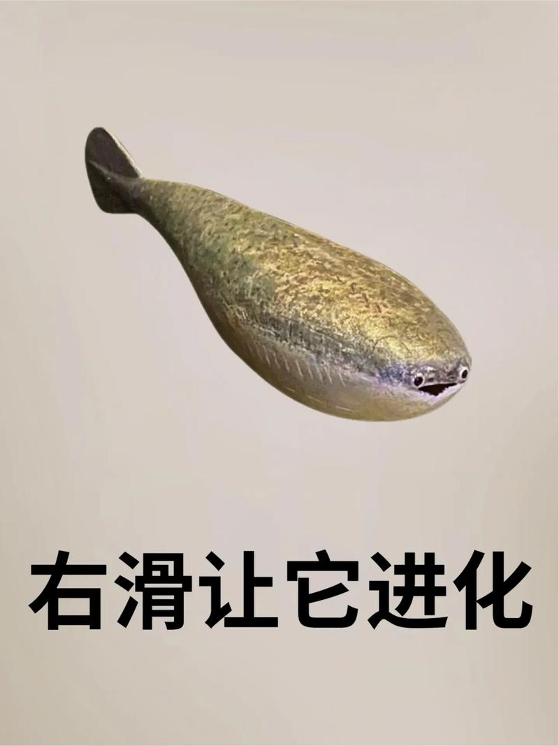 萨卡班甲鱼：比你想象中更古老的神奇生物