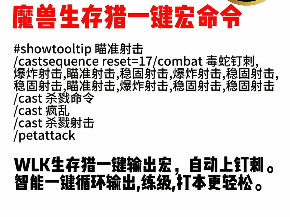 LR误导宏实用技巧：提高团队副本效率指南