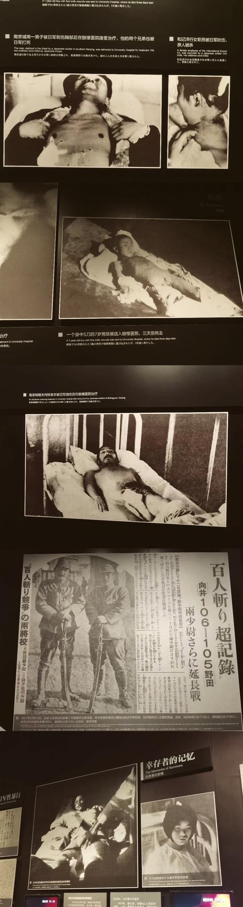 无尽的梦魇：历史的伤痕与民族的记忆