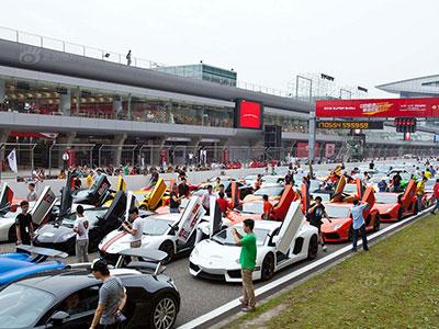 超跑俱乐部深度揭秘：会员都是什么人？他们怎么玩车？