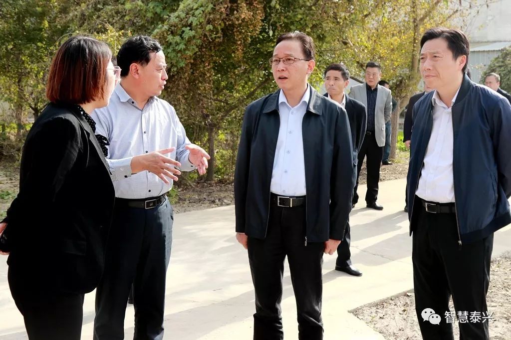 双月殿任务：高效完成指南及经验分享