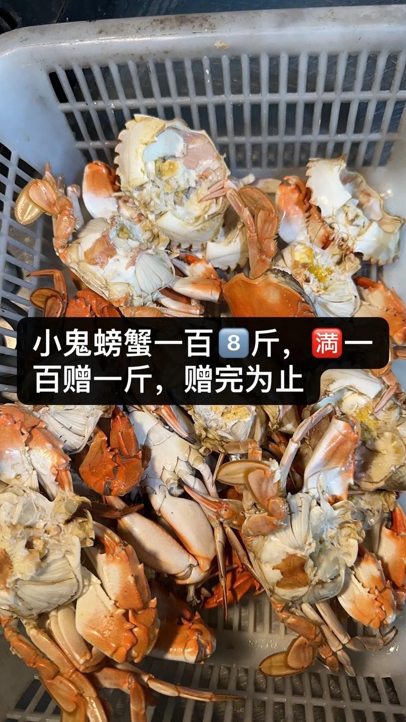 如何快速找到鬼脚蟹？魔兽世界鬼脚蟹刷新点