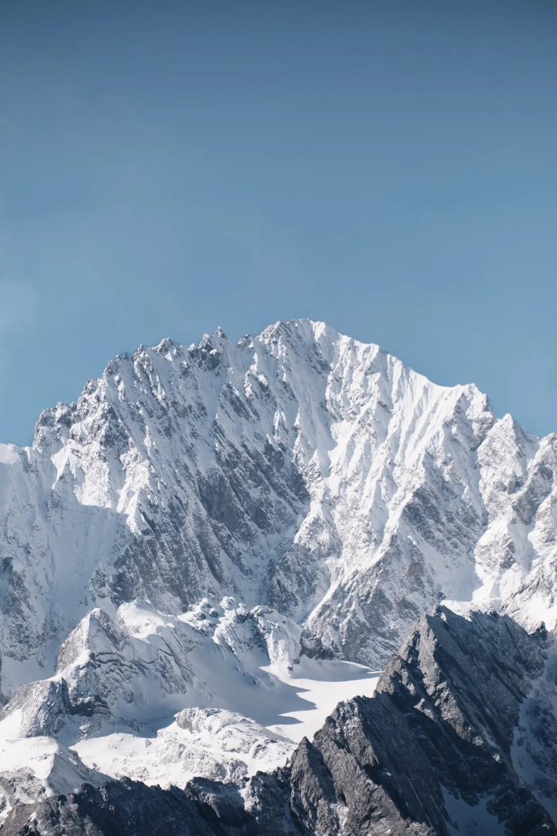 好玩到停不下来的雪山兄弟双人版游戏下载