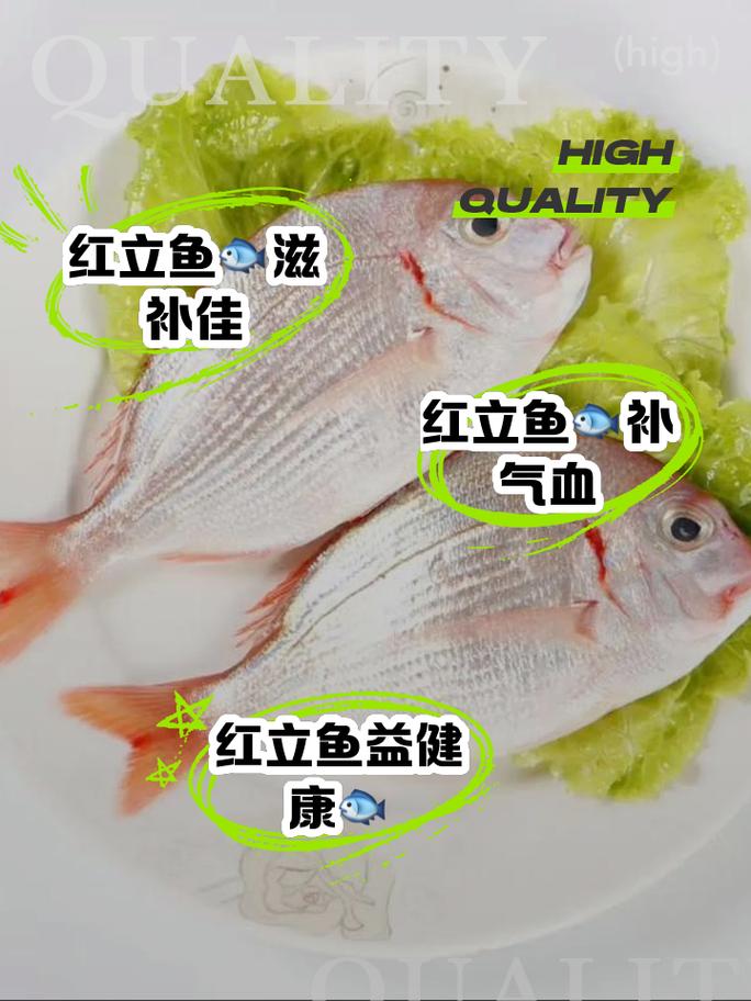 新鲜红腮鱼的营养价值及功效，你不得不知道的秘密