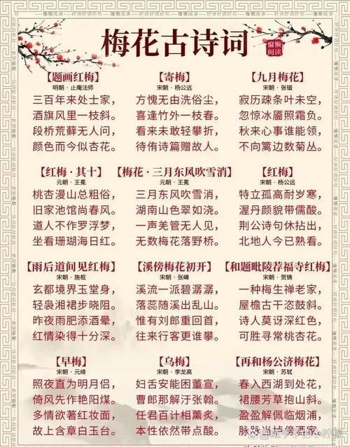 诗词里描写梅花的句子有哪些？最全梅花诗句赏析