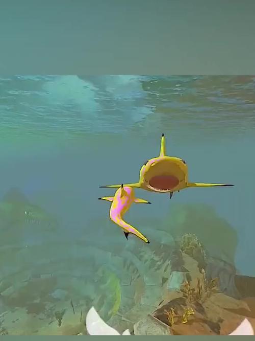 大鱼吃小鱼3D版：精美的3D画面和流畅体验