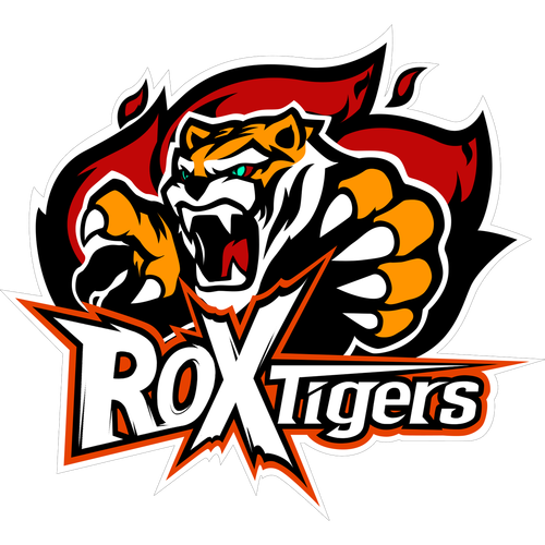 ROX Tigers：LCK冠军的荣耀与背后的故事