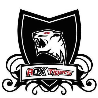 ROX Tigers：LCK冠军的荣耀与背后的故事