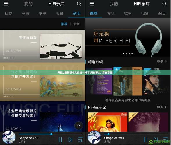还在找天堂www最新版资源？这里资源最全最新