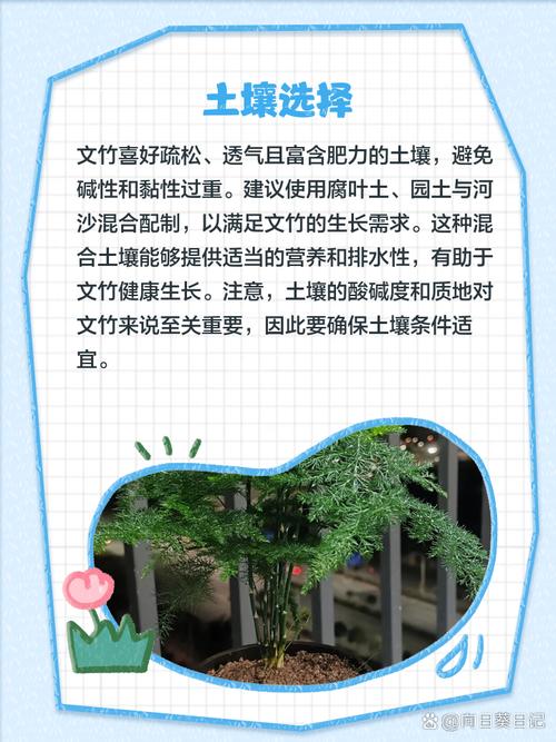 想要固执胜利者的头盔？这份指南你不能错过！