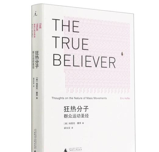 狂热者背后的故事：信仰与战斗的交响乐