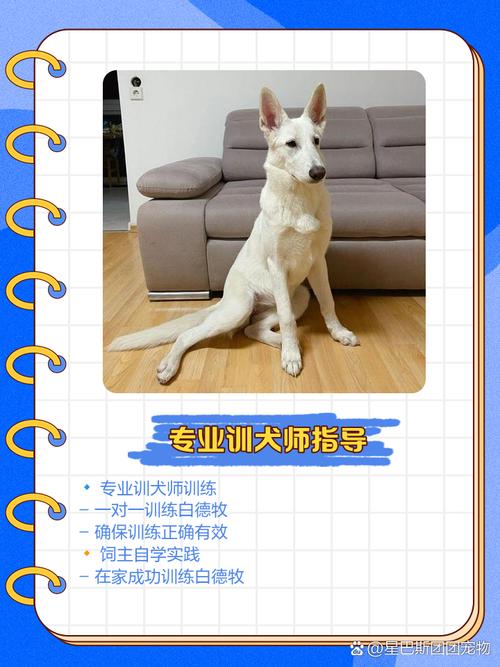 想要固执胜利者的头盔？这份指南你不能错过！