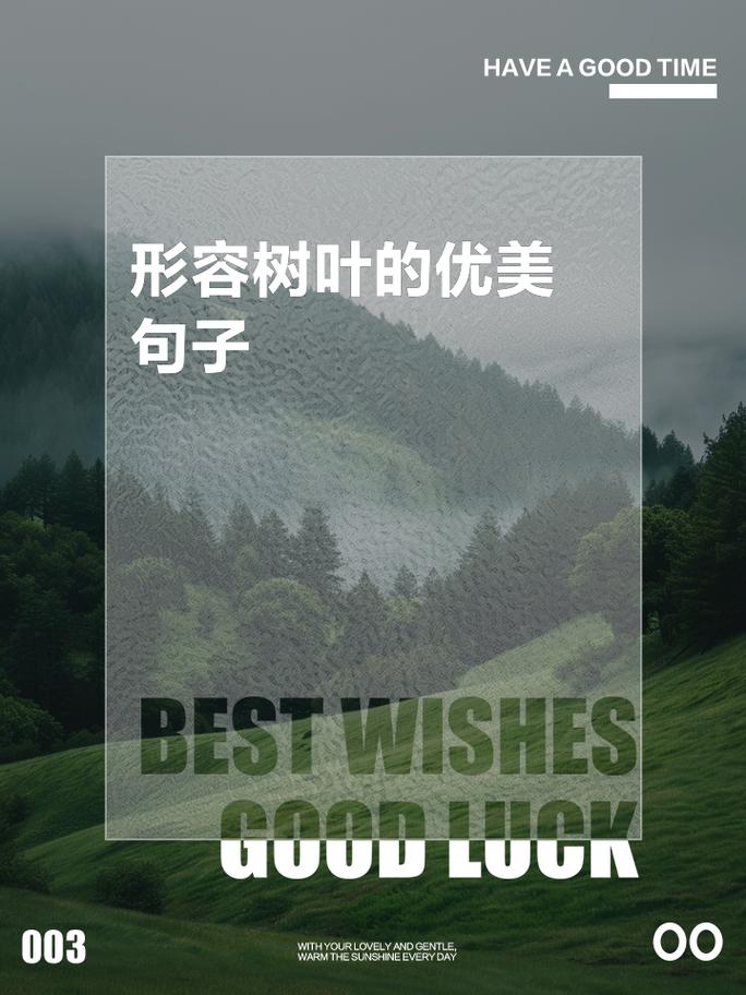 叶子，不仅仅是植物的一部分，更是自然的馈赠
