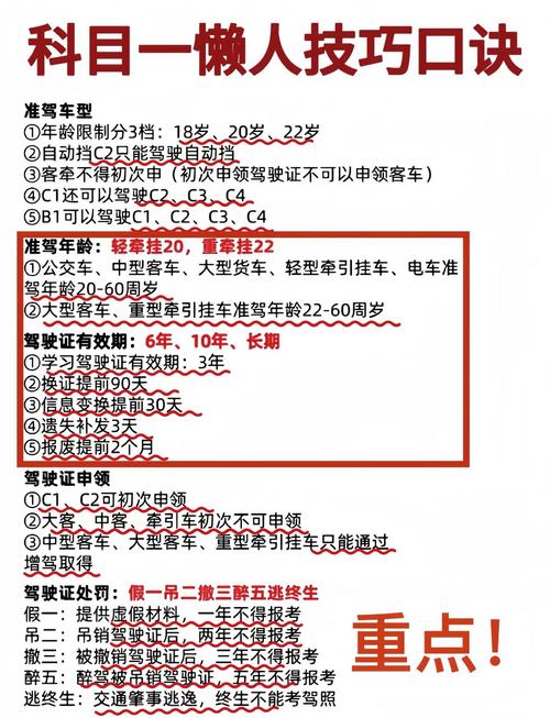 模拟驾考轻松过关！快速掌握驾考技巧秘籍