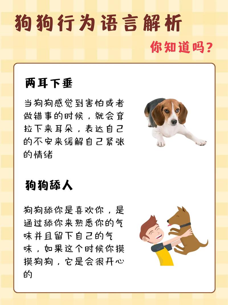 宠物沟通新方式：下载狗语言翻译器，秒懂狗狗