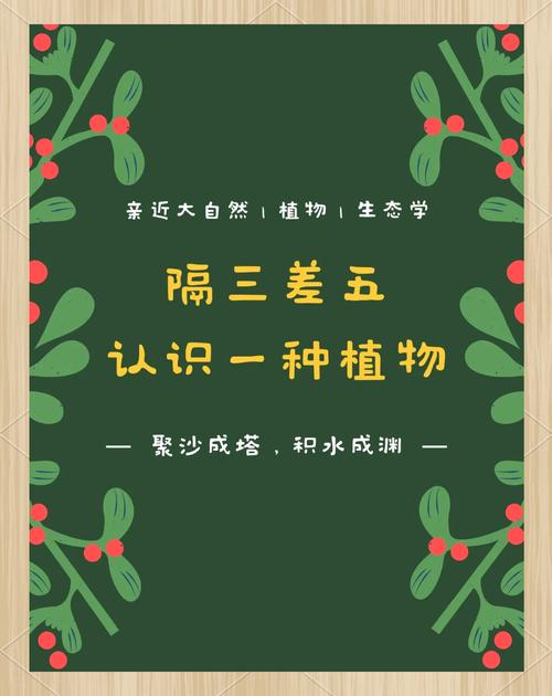 叶子，不仅仅是植物的一部分，更是自然的馈赠
