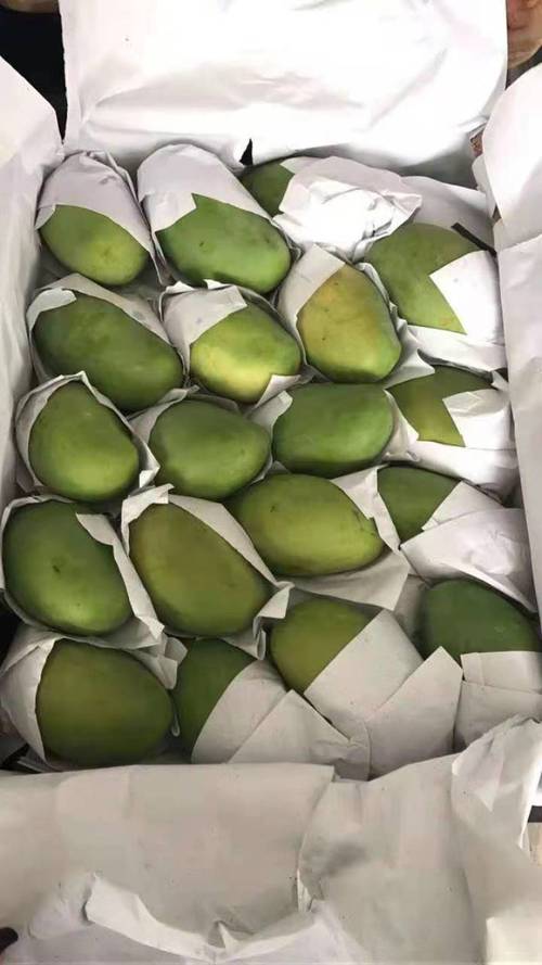 寻找精品芒果？1区2区3区芒果优质货源推荐