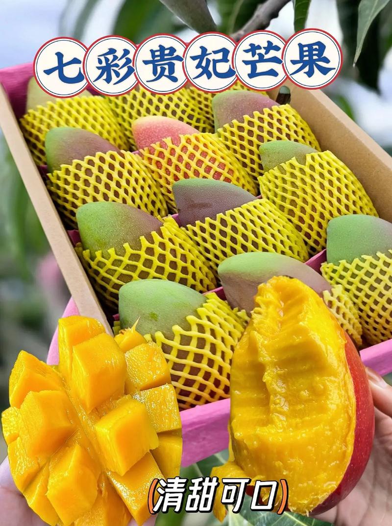 寻找精品芒果？1区2区3区芒果优质货源推荐