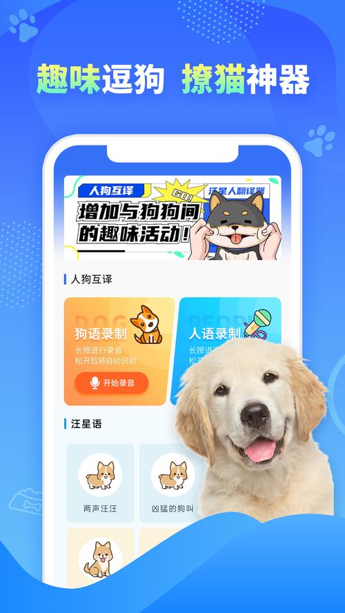 宠物沟通新方式：下载狗语言翻译器，秒懂狗狗