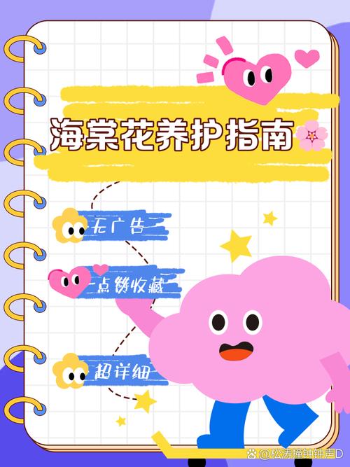 想要固执胜利者的头盔？这份指南你不能错过！