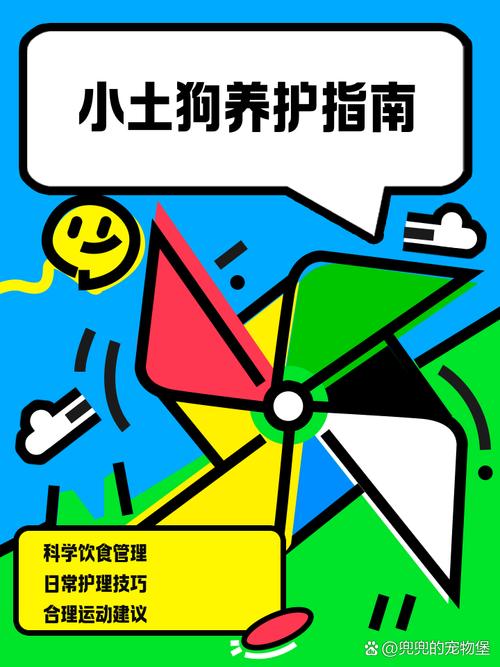 想要固执胜利者的头盔？这份指南你不能错过！