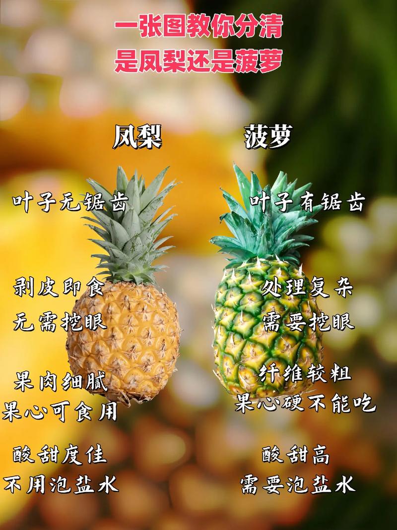 凤梨是菠萝吗？这两种水果到底有什么区别？