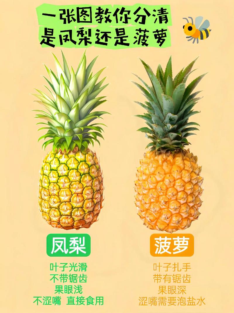 凤梨是菠萝吗？这两种水果到底有什么区别？
