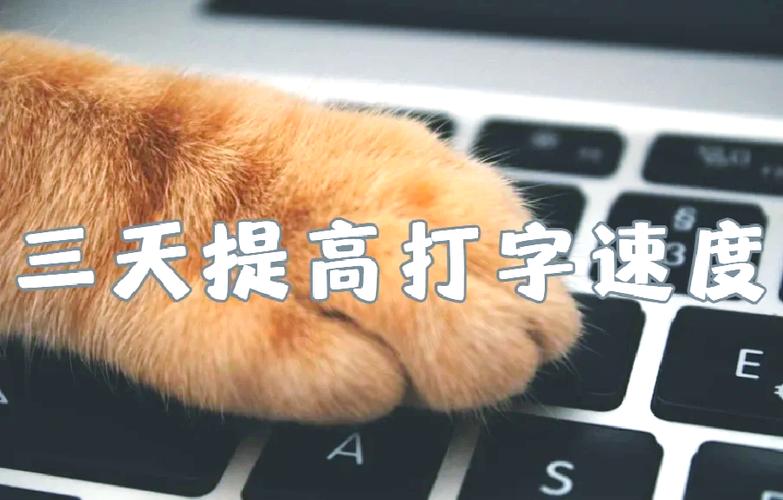 告别打字慢！QQ输入法帮你提高输入效率