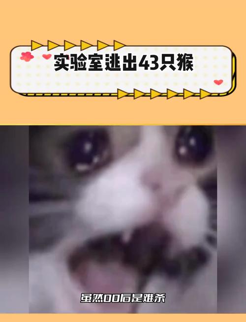 逃出实验室3：刺激挑战，等你来开启冒险之旅！