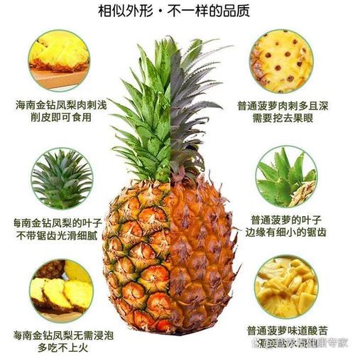 凤梨是菠萝吗？这两种水果到底有什么区别？