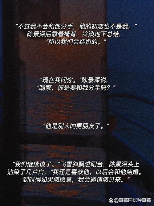 我曾经等过你：一段关于等待和失去的爱情故事