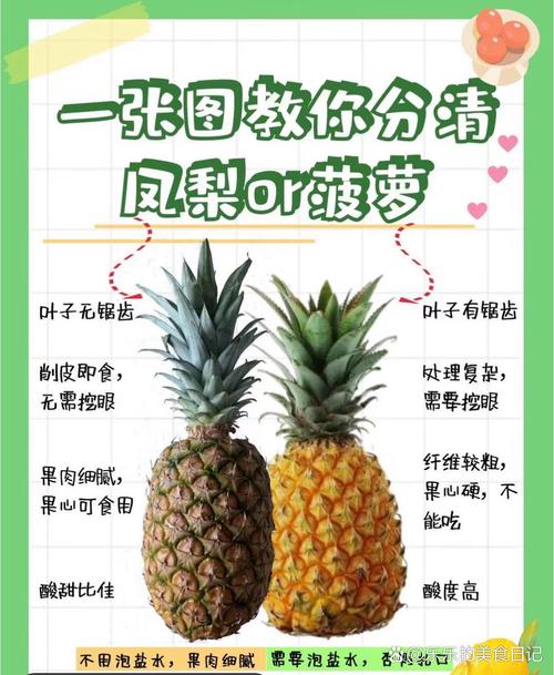 凤梨是菠萝吗？这两种水果到底有什么区别？
