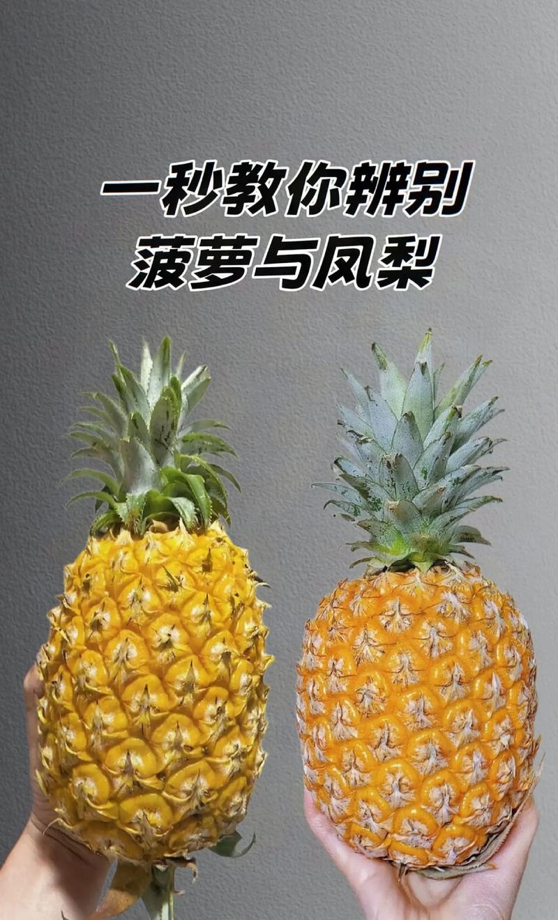 凤梨是菠萝吗？这两种水果到底有什么区别？