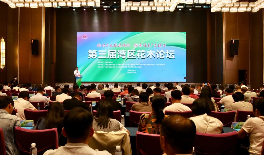 花都精英论坛官网：花都最大最活跃的社区门户
