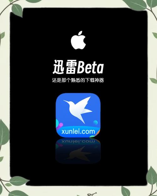 Web迅雷下载神器：速度快，操作简单，小白也能用！