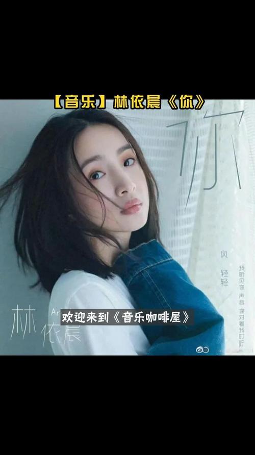 MTV精灵：你的高清MV下载专属助手
