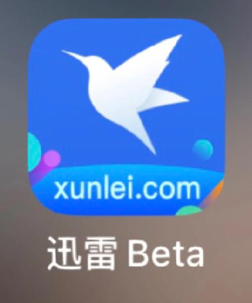 Web迅雷下载神器：速度快，操作简单，小白也能用！