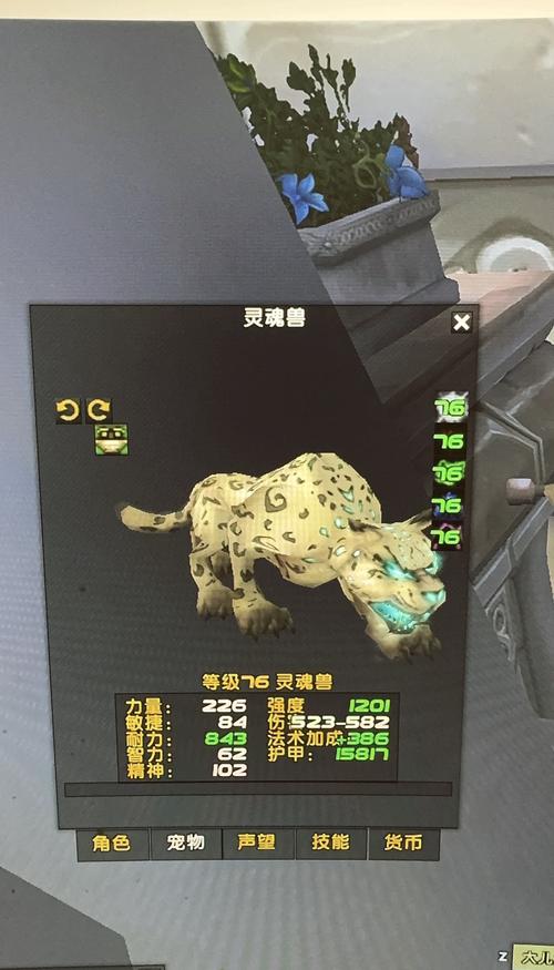 各地图灵魂兽捕捉攻略：灵魂兽在哪抓？