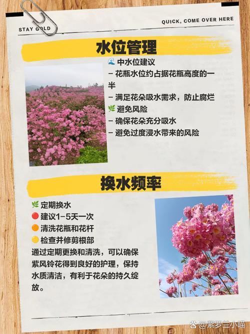 卡多雷风铃的保养技巧，延长使用寿命的小妙招