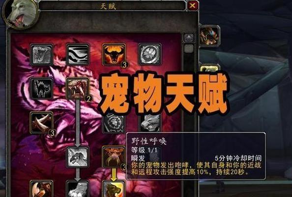 猎人稀有宝宝大全：带你认识那些稀有可爱的宠物