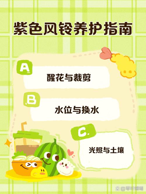 卡多雷风铃的保养技巧，延长使用寿命的小妙招