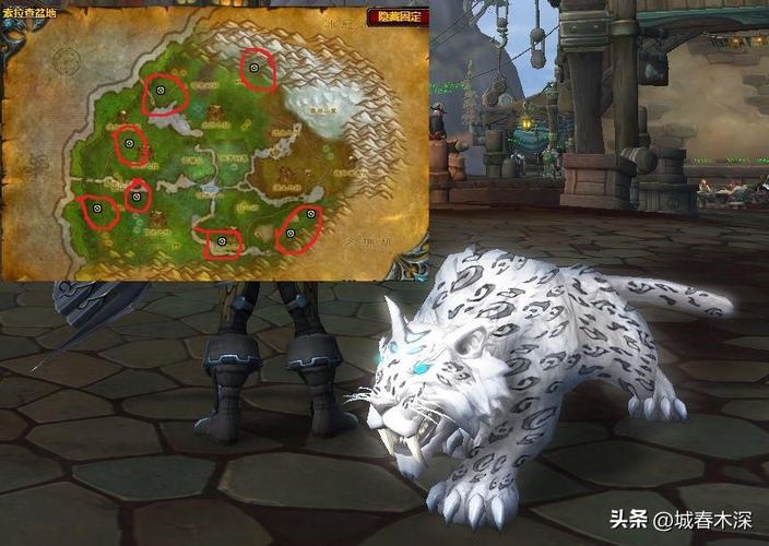 WOW战场卡位面技巧详解：快速高效抓灵魂兽